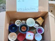 Blumenübertöpfe diverse Größen und Farben zu verschenken - Edemissen