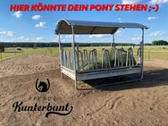 Offenstall - Paddocktrail - Aktivstall - 10.000m² kleine Gruppe - Grünheide (Mark)