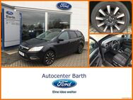 Ford Focus, 1.6 Style nur Export, Jahr 2009 - Grimmen