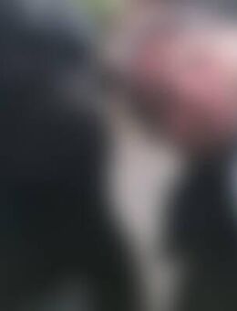 Bla*** - Baruth (Mark)