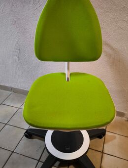 Moll Maximo Forte Schreibtisch Stuhl / Bürostuhl Drehstuhl Kinder - Birresborn