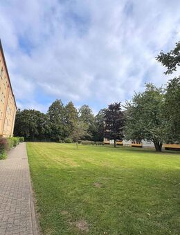 Attraktive 3-Zimmer-Eigentumswohnung als Kapitalanlage in Braunschweig - Braunschweig