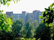 3-Zimmer-Wohnung mit Aussicht in Darmstadt-Kranichstein - Darmstadt