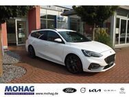 Ford Focus, 2.3 EcoBoost ST TWA, Jahr 2020 - Dorsten