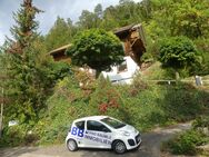 Aussicht-Wald-Ruhe-Familienoase in der Natur mit großem Grundstück für die ganze Familie. - Horb (Neckar)