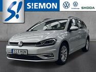 VW Golf Variant, 1.6 TDI 7 hzbLnk, Jahr 2019 - Lengerich (Nordrhein-Westfalen)