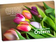 Christliche Osterkarte: Oster-Tulpen - Postkarte Ostern - Ostergruss - Edition Katzenstein - Osterhase - Wilhelmshaven Zentrum