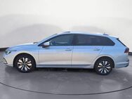 VW Golf Variant, 1.0 TSI MOVE Golf Move, Jahr 2024 - Freudenstadt