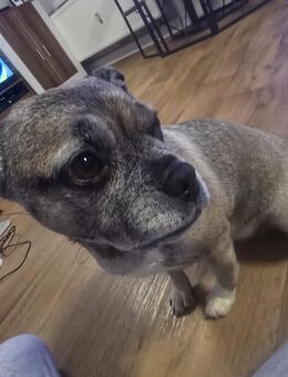 Ich suche mein neues Sofa - Magdeburg