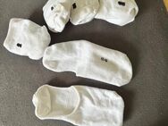 5 Paar Sneacker Socken - Rinteln