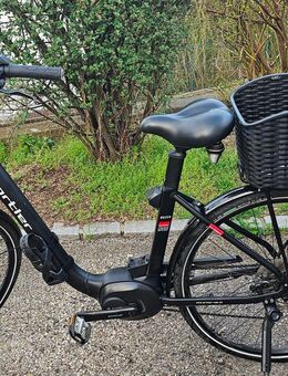 Ortler Bozen Trekking E-Bike - Irsee