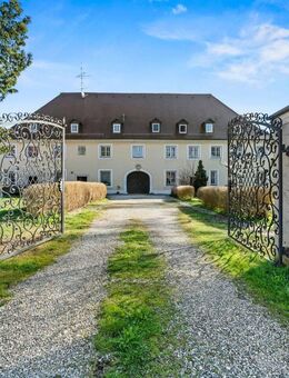 Seltene Kapitalanlage! Denkmalgeschütztes Schlossgebäude mit 9 Wohneinheiten und Ausbaupotenzial - Schemmerhofen