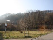 Ach Kinder es ist so schön hier...schönes Grundstück in ruhiger Lage - Hausen (Wiesental)