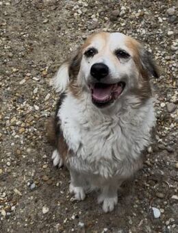 MAREN - HATTE EIN FRAUCHEN - Nörten-Hardenberg
