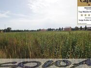 Großzügiges Baugrundstück im neuen Wohnbaugebiet in Neuburg - Heinrichsheim - Ein Objekt von SOWA Immobilien & Finanzen Ihrem Immobilienprofi vor Ort - Neuburg (Donau)