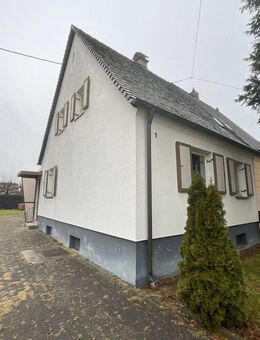 Gut erhaltene DHH-Bärenkeller, Sofort verfügbar! VB - Augsburg