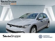 VW Golf, 1.0 VIII eTSI Life FLA 3xKlima, Jahr 2023 - Bergisch Gladbach