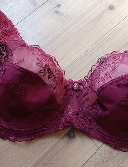 Bügel BH von sheego weinrot Gr. 90 (Cup-D) NEU mit Etikett - Tauberbischofsheim