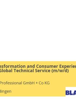 Digital Transformation and Consumer Experience Manager - Global Technical Service (m/w/d) - Oberderdingen