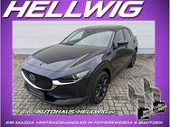 Mazda CX-30, 2.0 l -X Homura NEU 2025, Jahr 2022 - Hoyerswerda