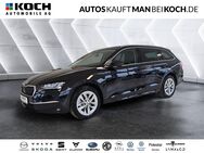 Skoda Octavia, 2.0 TDI Combi Selection, Jahr 2024 - Schorfheide