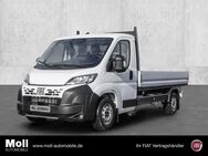 Fiat Ducato, Pritsche 35 L3 140 Maxi Techno Plus-Premium Kabine Visibility Paket, Jahr 2024 - Euskirchen