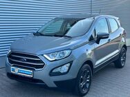 Ford EcoSport Cool&Connect LED Sitzheizung LM Räder - Schkeuditz