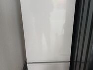 Kühl-gefierschrank - Springe