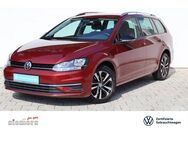 VW Golf Variant 1,6TDI IQ.DRIVE Start-Stopp - Geesthacht