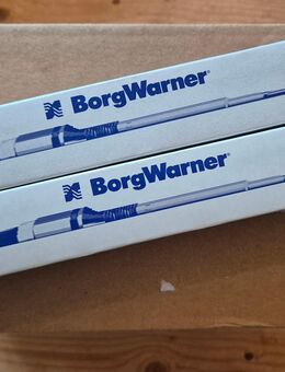 2er Set Borgwarner (Beru) PSG006 *Neu* - Bad Zwischenahn