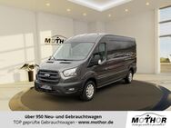 Ford Transit, 2.0 TDCi 350 Trend L3, Jahr 2024 - Gardelegen (Hansestadt)