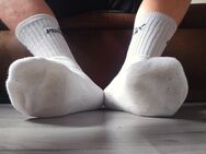 getragene Socken,Sneaker,Socks - Waldfeucht