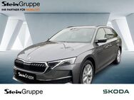 Skoda Octavia, 2.0 TDI Combi W Selection, Jahr 2024 - Gummersbach