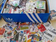 Sammelbilder Fussball - Sachsenheim