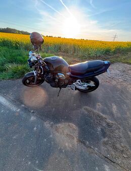 Suzuki Bandit 1200 - Hirschaid