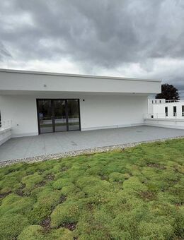 5-Zi-Penthouse mit XXL Dachterrasse | HN-Ost Fuchs Areal | Hertner Holding - Heilbronn