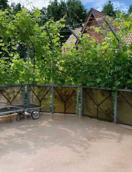 Geräumiges Einfamilienhaus in erstklassiger Wohngegend mit herrlichem, unverbautem Blick ins Grüne - Nienburg - Nienburg (Weser)