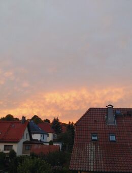 Würde endlich gerne ankommen... - Naumburg (Saale) Bad Kösen