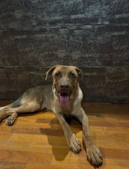 Schüchterne Nera - Bad Camberg