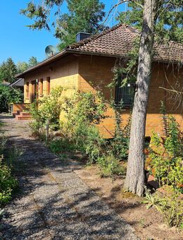 Idyllisches Wohnen in Quickborn / Wendland nahe der Elbe - Gusborn