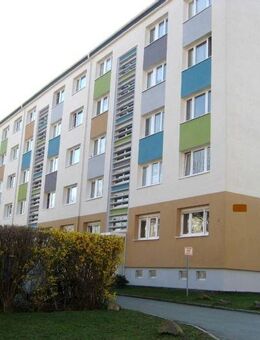 Helle 2 Raum Wohnung mit Blick ins Grüne - Limbach-Oberfrohna