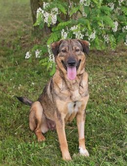 SMILEY - freudig komme ich dir entgegen - Overath