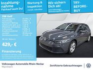 VW Golf, 2.0 TDI VIII Life, Jahr 2024 - Mannheim