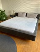 Polsterbett 180x200 m. Naturlatex Matratze zu verschenken, nur Abholung in 80469