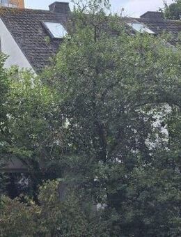 Kleiner versteckter Traum mit viel Grünfläche! Mehrfamilienhaus in 97074 Würzburg-Frauenland (ID 92) - Würzburg