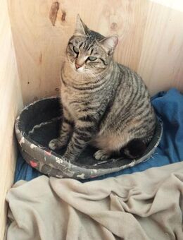 süßes Mutter-Sohn Duo - Geisenheim