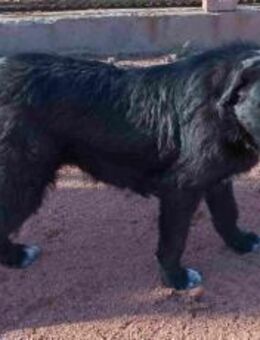 Mayu ! Black ist beautiful ! - München