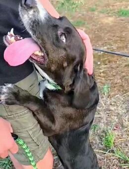 Tsila, ein kleines Mädchen sucht ihre Fa - Oberhausen