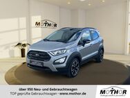 Ford EcoSport, 1.0 Active EcoBoost, Jahr 2022 - Gardelegen (Hansestadt)