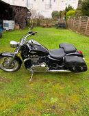 Triumph Thunderbird in 64354